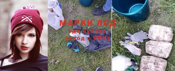 спиды Зерноград